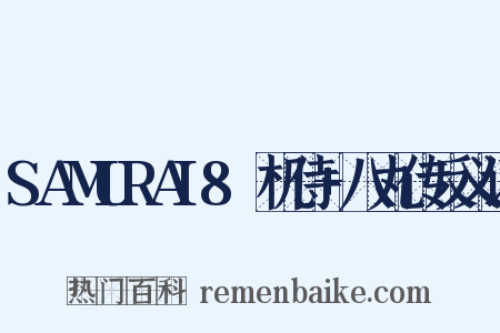 SAMURAI8～机侍+八丸传反义词是什么意思的图片
